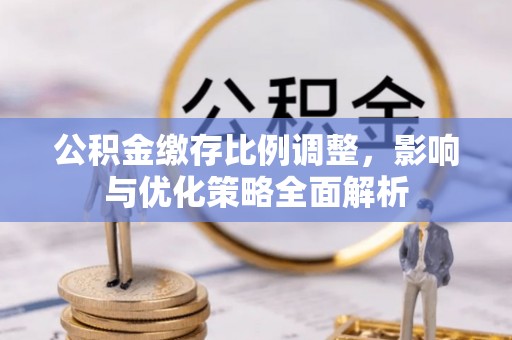 资阳公积金缴存比例调整，影响与优化策略全面解析