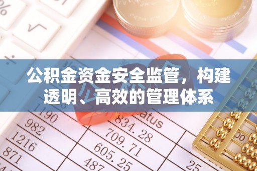 资阳公积金资金安全监管，构建透明、高效的管理体系