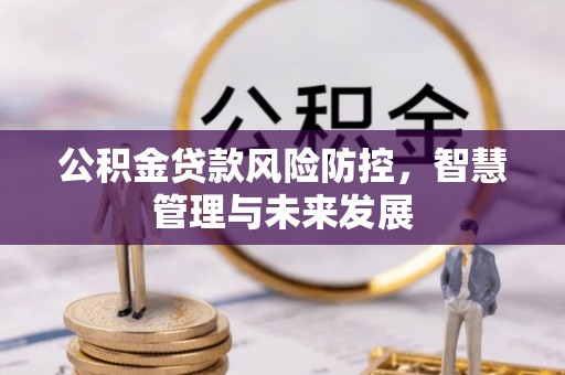 资阳公积金贷款风险防控，智慧管理与未来发展