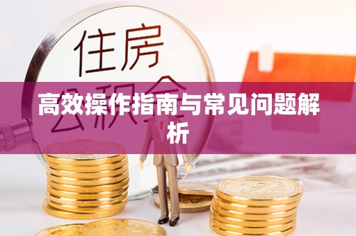 资阳高效操作指南与常见问题解析