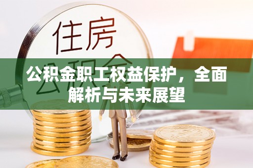 资阳公积金职工权益保护，全面解析与未来展望