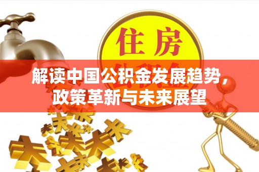 资阳解读中国公积金发展趋势，政策革新与未来展望