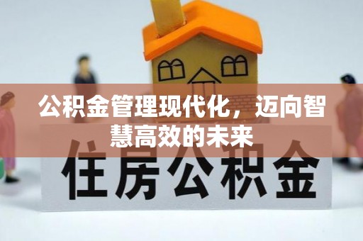 资阳公积金管理现代化，迈向智慧高效的未来