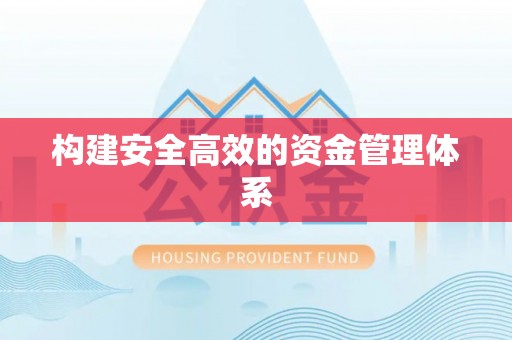资阳构建安全高效的资金管理体系