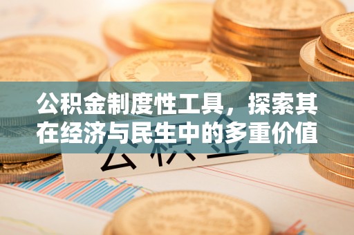 资阳公积金制度性工具，探索其在经济与民生中的多重价值