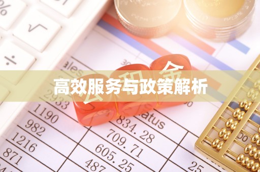 资阳高效服务与政策解析