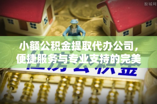 资阳小额公积金提取代办公司，便捷服务与专业支持的完美结合