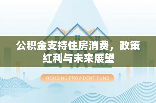 资阳公积金支持住房消费，政策红利与未来展望