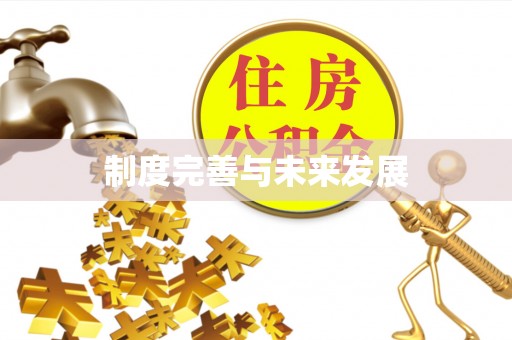 资阳制度完善与未来发展