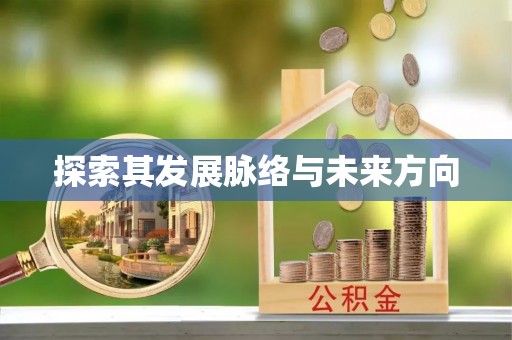 资阳探索其发展脉络与未来方向