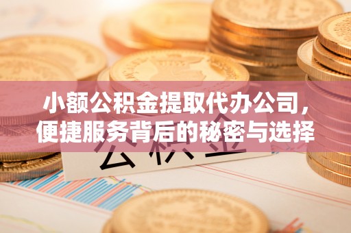 资阳小额公积金提取代办公司，便捷服务背后的秘密与选择指南