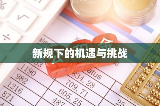 资阳新规下的机遇与挑战