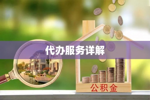资阳代办服务详解