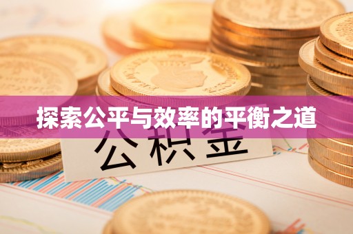 资阳探索公平与效率的平衡之道
