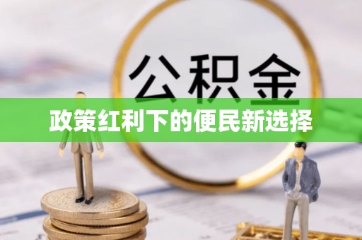 资阳政策红利下的便民新选择